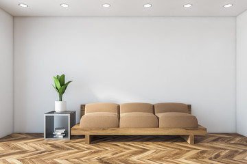 Minimalistic white living room with sofa