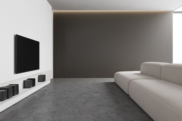 Gray living room with sofa and TV