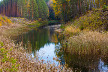 Autumn landscape. River and forest in late autumn