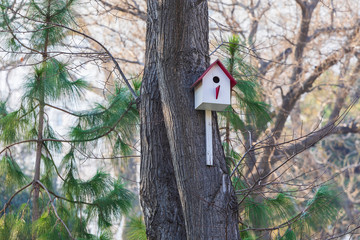 Birdhouse attached to a tree in the park