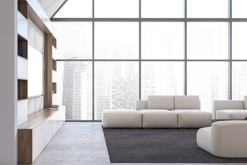 Fototapeta na wymiar White living room with bookcase and sofa