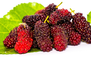 Organic mulberry fruit