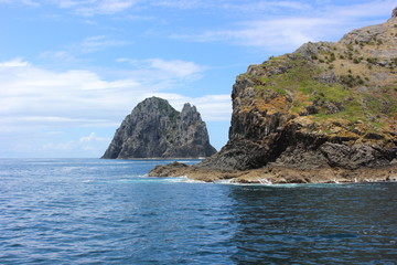 Naklejka premium Newzealand Beauty