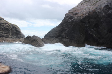 Obraz premium Newzealand Beauty