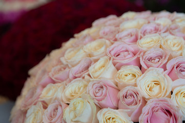 Bouquet with flower blossom. Floral background. Shallow depth photo. Soft toned colors.