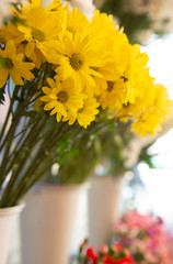 Bouquet with flower blossom. Floral background. Shallow depth photo. Soft toned colors.