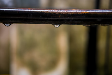 Rain droplets on the Metal fence