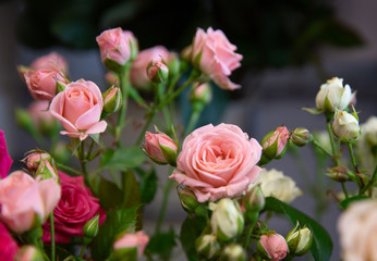 Bouquet with flower blossom. Floral background. Shallow depth photo. Soft toned colors.