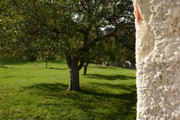 Austrian landscape near Graz
