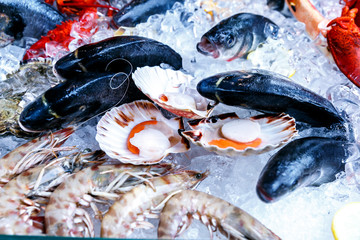 White-headed sea fish, shrimp, crabs, crayfish, mollusks, lobsters are on ice