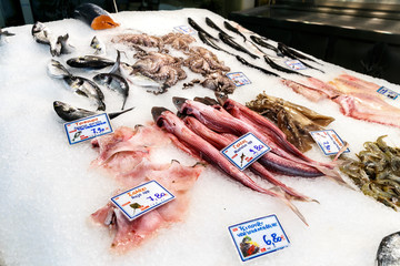 freshly caught sea fish or oysters or prawns on ice on a store sail