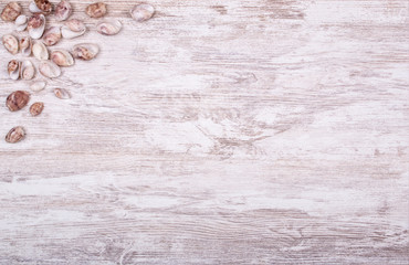 fondo de madera con detalle de caracolas y conchas