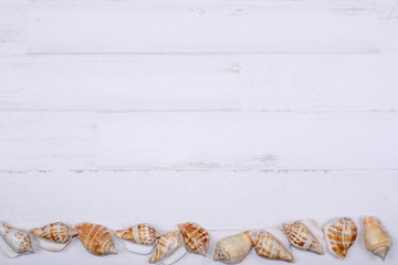 fondo madera blanca con caracolas y conchas