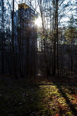 Fototapeta premium Sunbeam