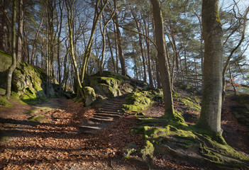 Müllerthal in der Eifel in Luxemburg