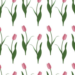 Obraz premium Endless vector pink tulip pattern. Spring clearing. Plant on an isolated background. Idea for wallpaper, cover, decoration. Floral print.