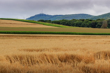 Wheat and other agricultural fields in the foreground, hills with forests and wind turbines in the background near Koblenz in Rhineland-Palatinate, Germany on an overcast day