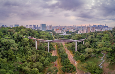 Fototapeta premium Apr 09/2019 Early morning at Henderson Waves bridge - aerial view, Singapore