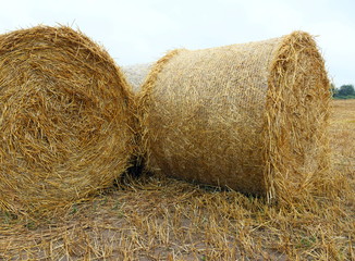 Round bales of straw are neatly stacked on the field.