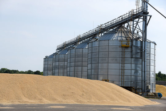 A pile of wheat is dried in the open air, next to a tower for storing grain .