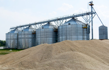 Fototapeta premium A pile of wheat near the grain towers.