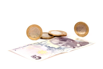 Turkish lira banknotes and coins