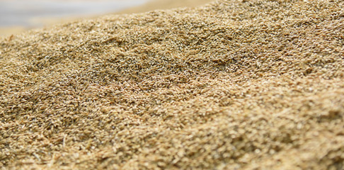 Unprocessed grain is piled up.