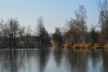 Fototapeta na wymiar Chorzow Polska Śląsk. Picturesque reflection of trees in the lake surface.