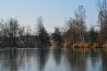 Chorzow Polska Śląsk. Picturesque reflection of trees in the lake surface.