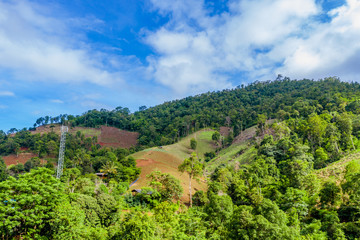 Fototapeta na wymiar Aerial view of agriculture lands in Doi Inthanon national park, Thailand. 