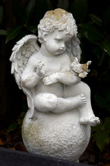 Fototapeta na wymiar statue of angel in garden