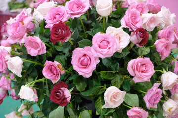 bouquet of pink roses