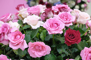 bouquet of pink roses
