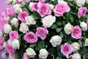 bouquet of pink roses