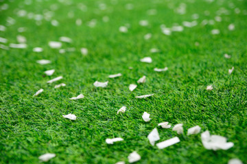 Artificial turf green grass for outdoor shows