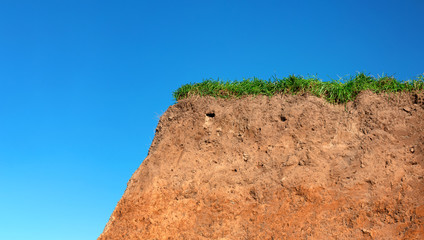 Topsoil of a Cambisol or Inceptisol