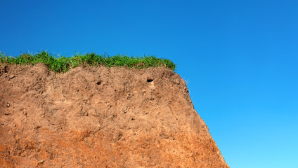 Topsoil of a Cambisol or Inceptisol
