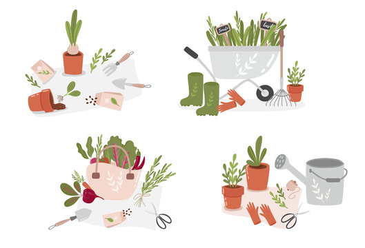 Concept of gardening. Garden tools. Colorful vector illustration