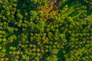 Fototapeta premium Krabi - Railay beach seen from a drone. One of Thailand's most famous luxurious beach. 