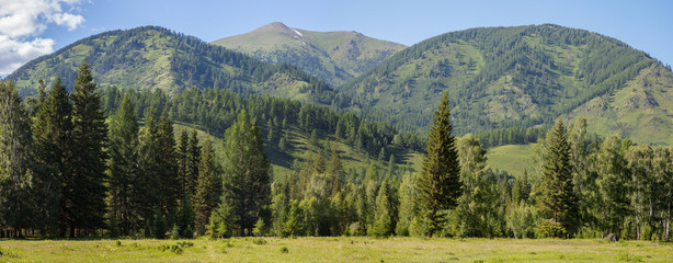 Forest and mountains, panoramic view