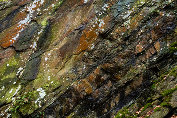 Obraz premium Felsen Gestein Geologie Morphologie Mineralien Moos Algen Grün Flechten Oberfläche Hintergrund Struktur Stein Wand rauh Steinbruch Kante Klüfte Risse Schiefer Kalk Farbtöne Grün hell Dunkel