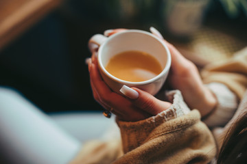 Woman hands holding cup with tea in cafe - 321807099