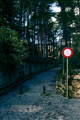 Camino de El Escorial