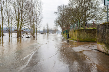 The high state of the river Rhine in western Germany, which emerged from the riverbed, flooded...