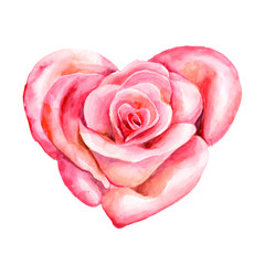 Watercolor illustration. Floral design element. Rose in the shape of a heart.