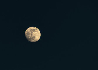 moon in the sky