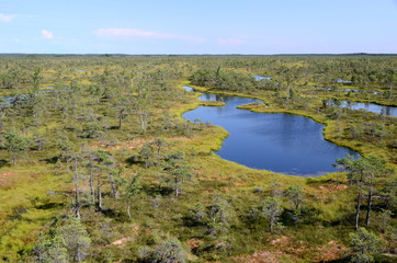 Fototapeta na wymiar Kemeri National Park in Latvia
