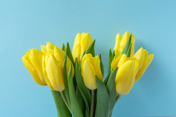 bouquet of yellow tulips on sky blue background