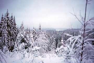Winterlandschaft Russland