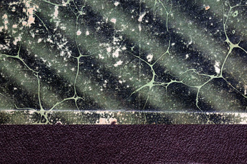 Vintage cover of an old book. Beautiful texture. Space for lettering or design.